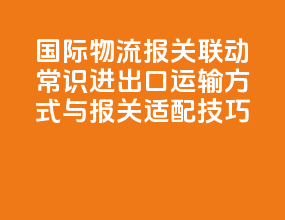国际物流 + 报关联动常识：进出口运输方式与报关适配技巧