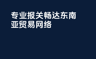 专业报关，畅达东南亚贸易网络