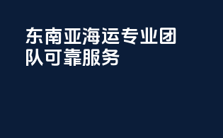 东南亚海运专业团队，可靠服务