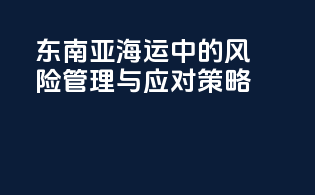 东南亚海运中的风险管理与应对策略
