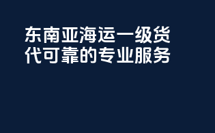 东南亚海运一级货代，可靠的专业服务