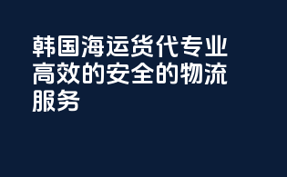 韩国海运货代：专业高效的安全的物流服务