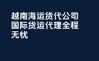 越南海运货代公司：国际货运代理，全程无忧