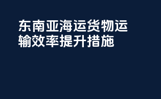 东南亚海运货物运输效率提升措施