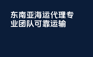 东南亚海运代理：专业团队，可靠运输