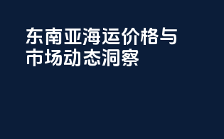 东南亚海运价格与市场动态洞察