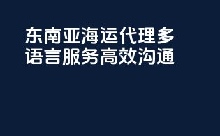 东南亚海运代理：多语言服务，高效沟通