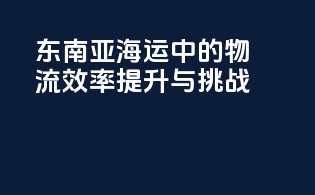 东南亚海运中的物流效率提升与挑战