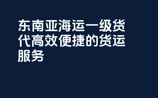 东南亚海运一级货代，高效便捷的货运服务