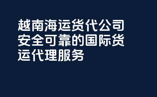 越南海运货代公司：安全可靠的国际货运代理服务