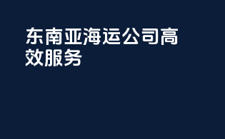 东南亚海运公司高效服务