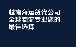 越南海运货代公司：全球物流，专业您的最佳选择