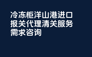 冷冻柜洋山港进口报关代理清关服务需求咨询