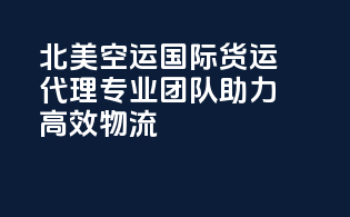 北美空运国际货运代理：专业团队助力高效物流