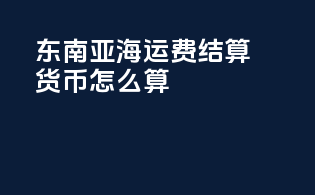 东南亚海运费结算货币怎么算