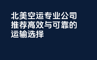 北美空运专业公司推荐，高效与可靠的运输选择
