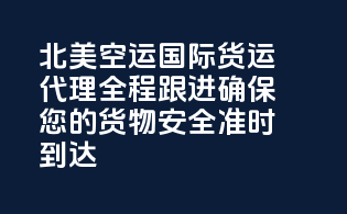 北美空运国际货运代理：全程跟进，确保您的货物安全准时到达