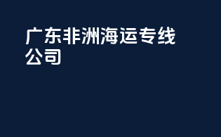 广东非洲海运专线公司