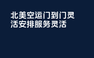 北美空运门到门，灵活安排，服务灵活！