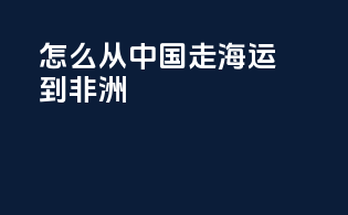 怎么从中国走海运到非洲