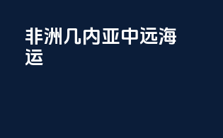非洲几内亚中远海运