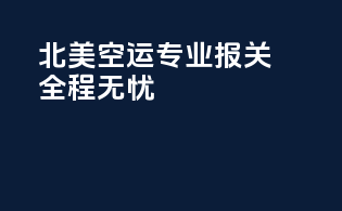 北美空运专业报关，全程无忧