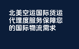 北美空运国际货运代理：度服务保障您的国际物流需求
