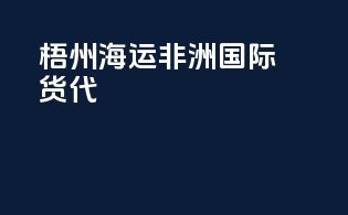 梧州海运非洲国际货代