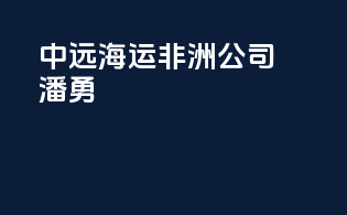 中远海运非洲公司潘勇
