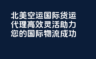 北美空运国际货运代理：高效灵活，助力您的国际物流成功