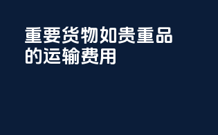 重要货物（如贵重品）的运输费用
