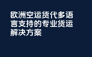 欧洲空运货代：多语言支持的专业货运解决方案