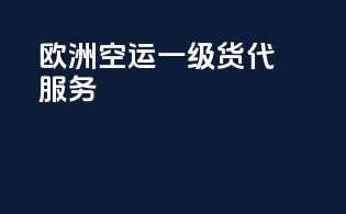 欧洲空运一级货代服务