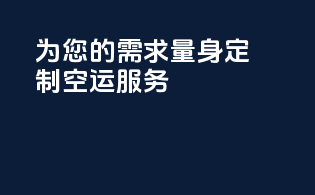 为您的需求量身定制空运服务