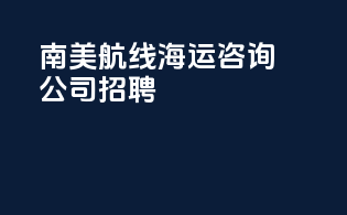 南美航线海运咨询公司招聘