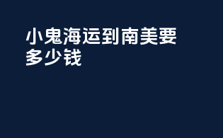小鬼海运到南美要多少钱