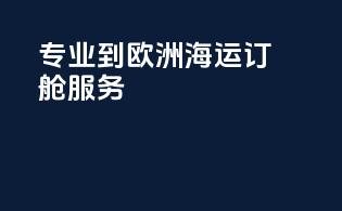 专业到欧洲海运订舱服务