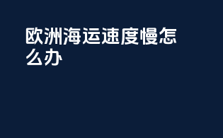 欧洲海运速度慢怎么办