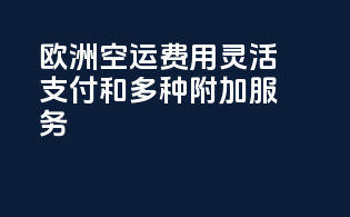 欧洲空运费用：灵活支付和多种附加服务
