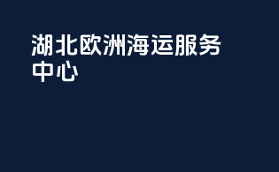 湖北欧洲海运服务中心