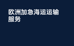欧洲加急海运运输服务