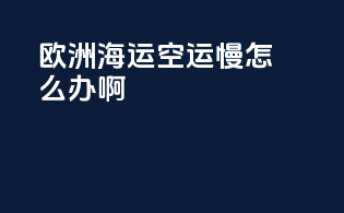 欧洲海运空运慢怎么办啊