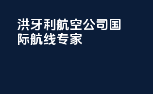 洪牙利航空公司：国际航线专家