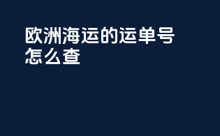 欧洲海运的运单号怎么查