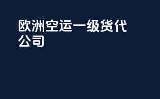 欧洲空运一级货代公司