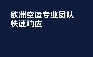 欧洲FBA空运，专业团队，快速响应