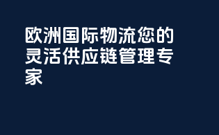 欧洲国际物流：您的灵活供应链管理专家