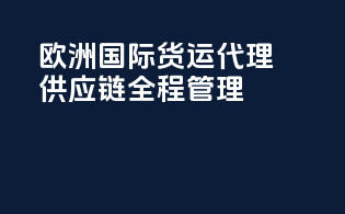 欧洲国际货运代理，供应链全程管理