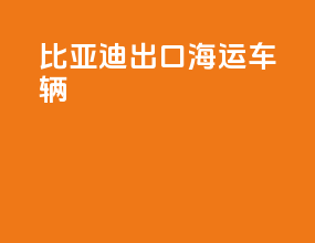 比亚迪出口海运车辆