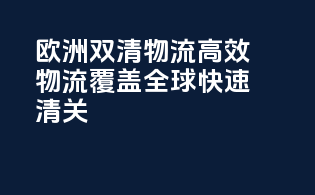 欧洲双清物流，高效物流，覆盖全球，快速清关